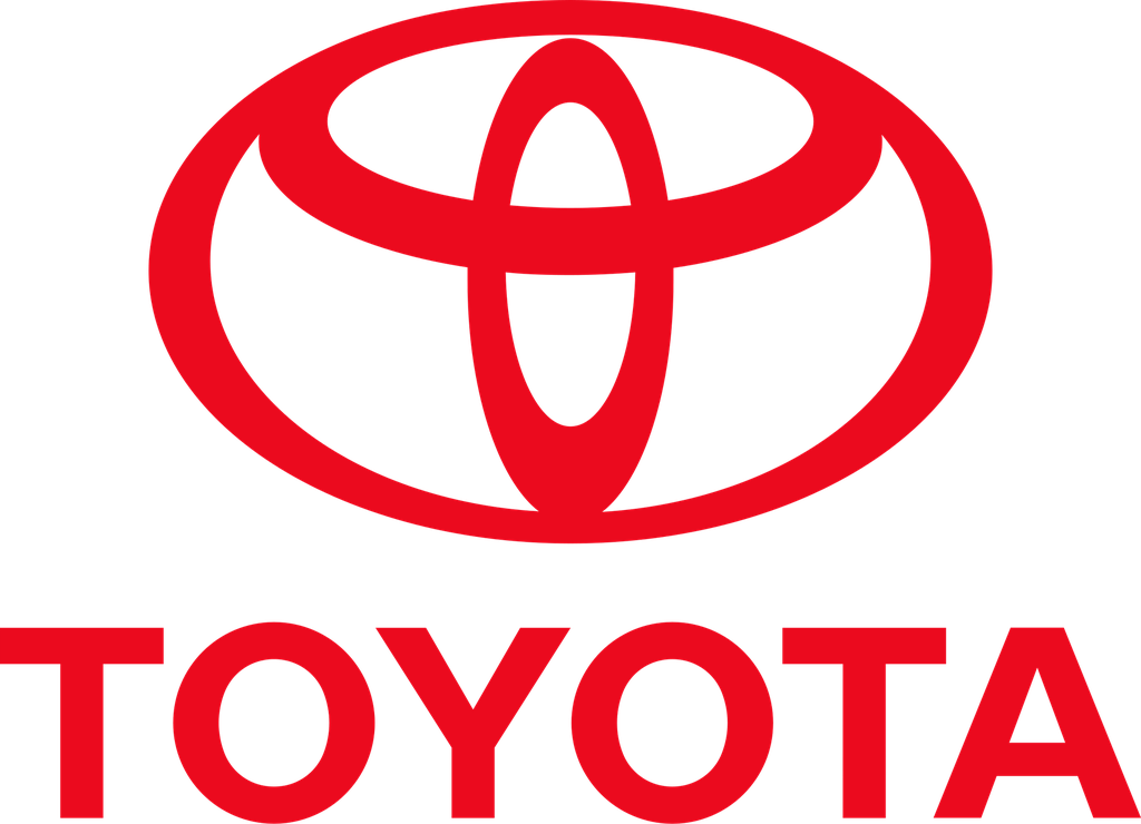 Toyota Bubble Bag - Triman